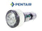 Pentair MicroBrite Color Pool and Spa LED Light | 12V 100 ft Cord