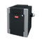 Raypak 336K BTU Natural Gas Pool Heater – Millivolt Ignition (P-R336A-MN-C / 009194)