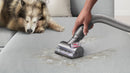 Dyson Ball Animal 3 De-Tangling Vacuum For Homes with Pets