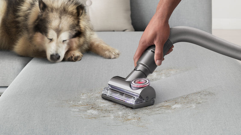 Dyson Ball Animal 3 De-Tangling Vacuum For Homes with Pets